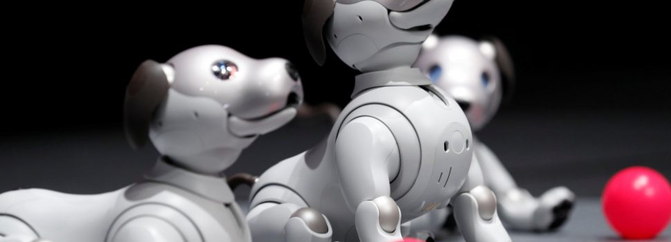Sony’s “Robo-Puppy” is Back!