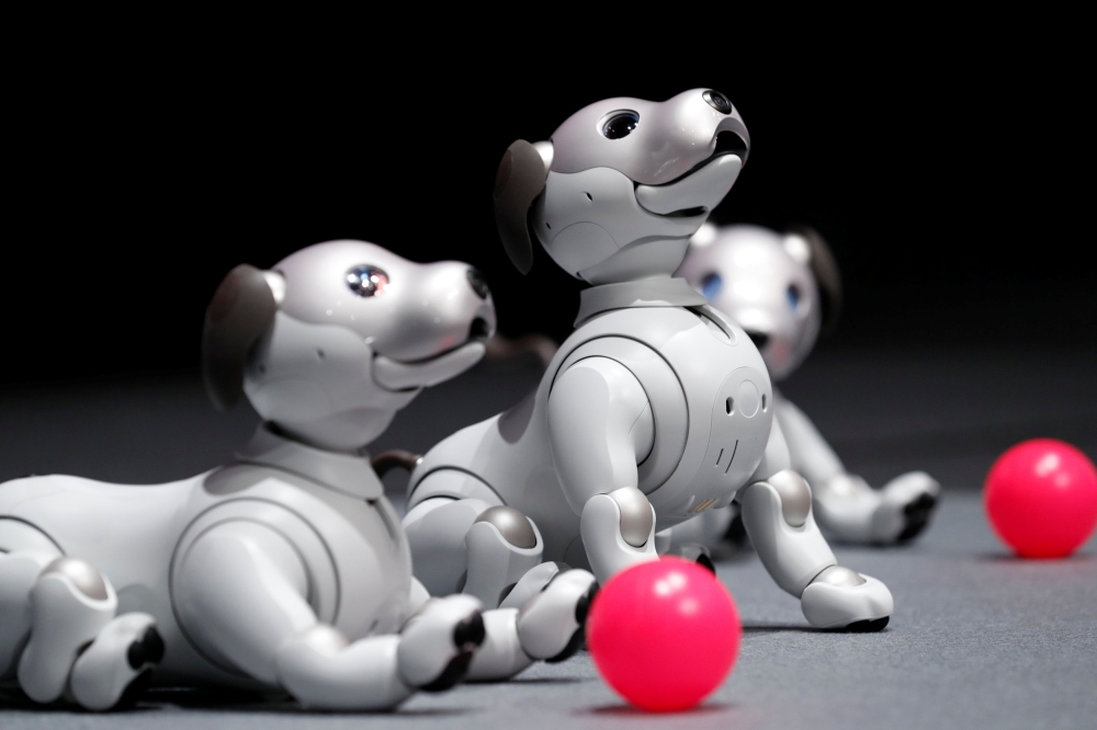 Sony’s “Robo-Puppy” is Back!