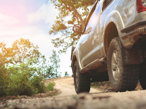 Hit the Trail! Which is the Best Car for Camping?
