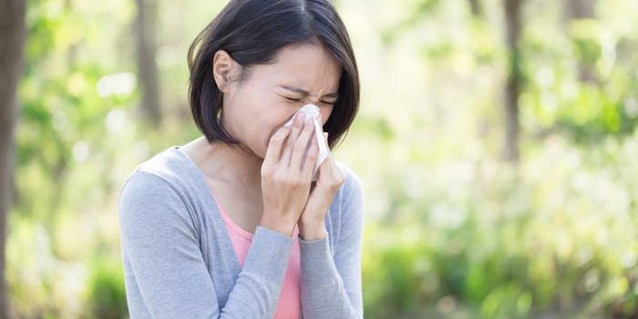 Best Decongestants for Spring Allergies