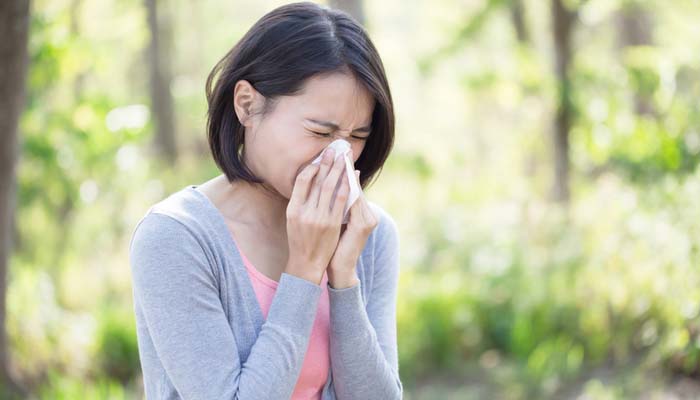 Best Decongestants for Spring Allergies