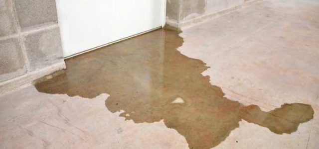 Is Your Basement Trapping Moisture? Here’s how to Dry a Damp Basement