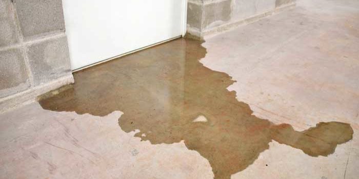 Is Your Basement Trapping Moisture? Here’s how to Dry a Damp Basement