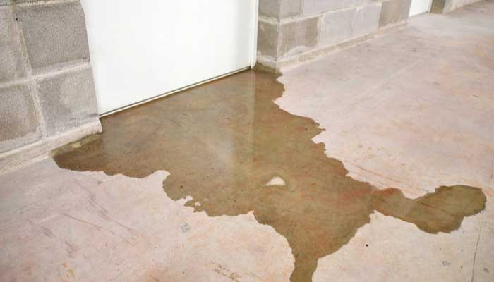 Is Your Basement Trapping Moisture? Here’s how to Avoid Mold