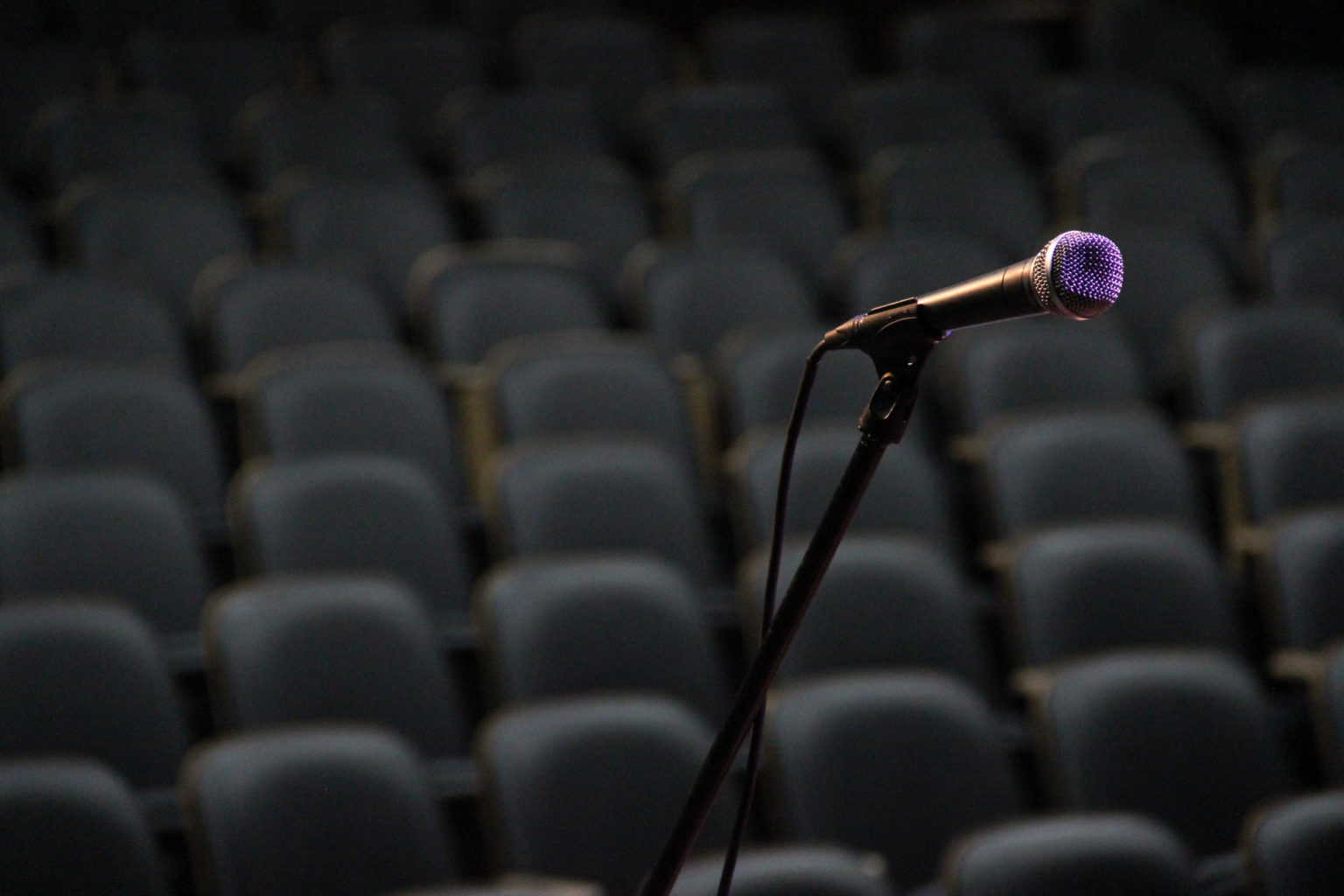 This is Why You Need a Directional Microphone