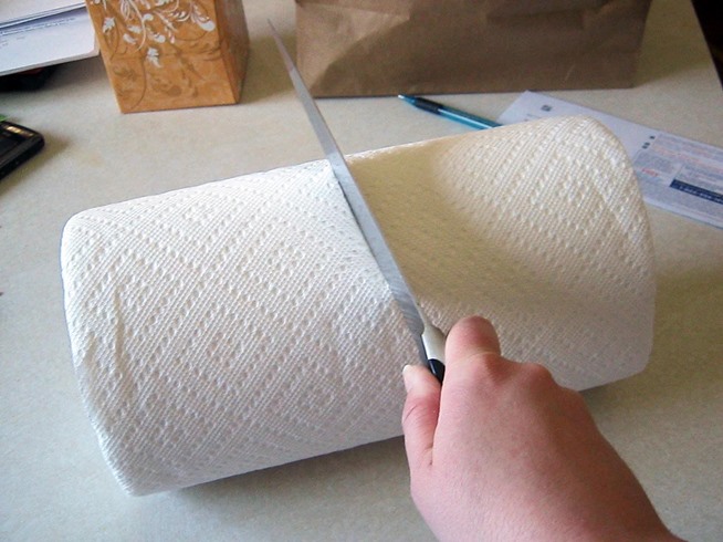 Save Money on Paper Towels