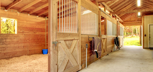 Best Horse Barn Kits: Take Care of your Equine Friends