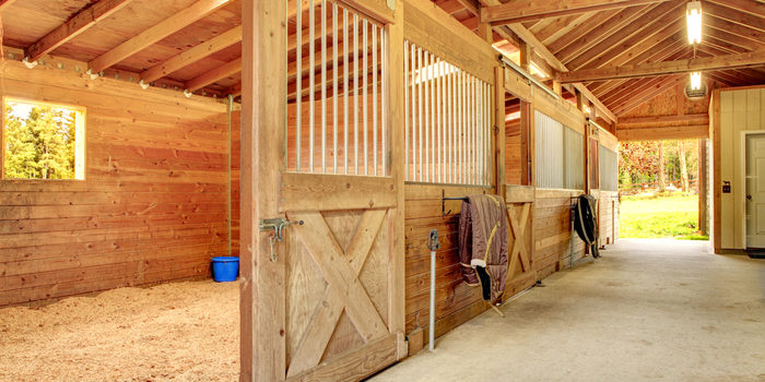 Best Horse Barn Kits: Take Care of your Equine Friends