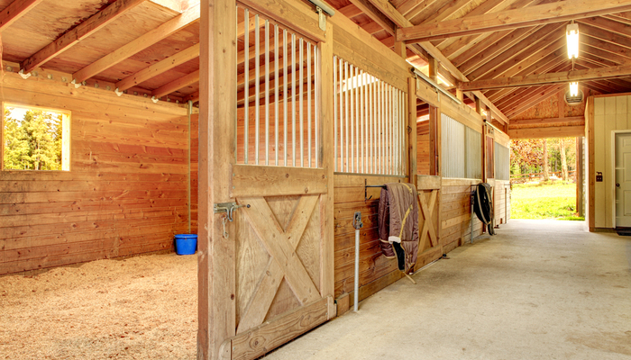 Best Horse Barn Kits: Take Care of your Equine Friends