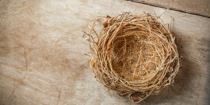 Empty Nest Syndrome: How to Fight It