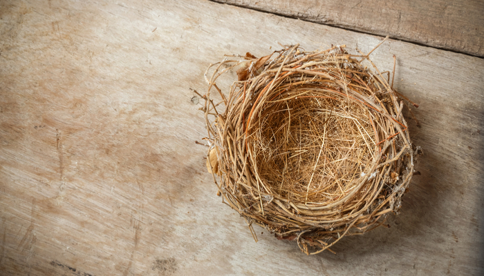 Empty Nest Syndrome: How to Fight It