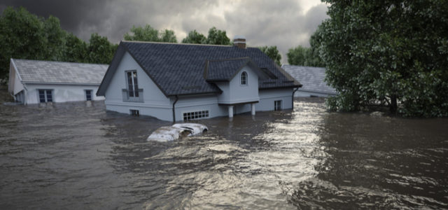 Flood Damage Restoration: What to Expect?