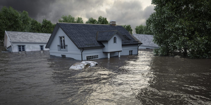 Flood Damage Restoration: What to Expect?