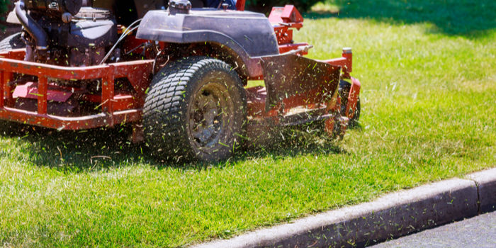 Lawn Care: Taking Care of Your Grass