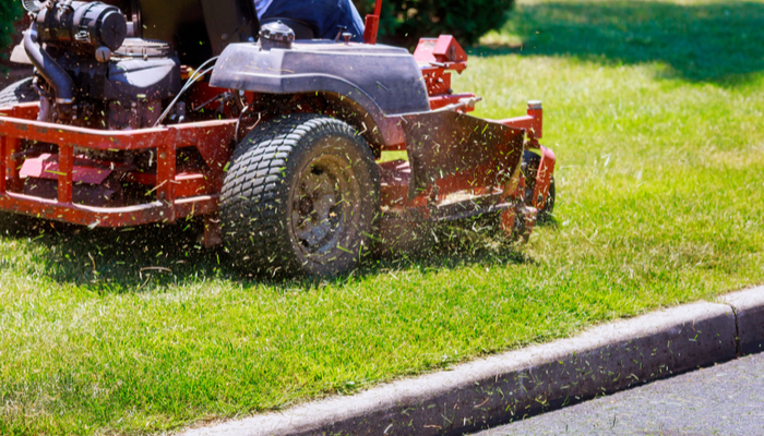 Lawn Care: Taking Care of Your Grass