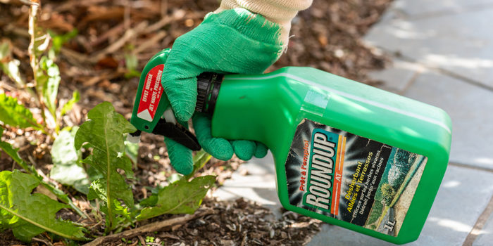 Is Your Weed Killer Giving You Cancer? Roundup Lawsuit Awards $289 Million!