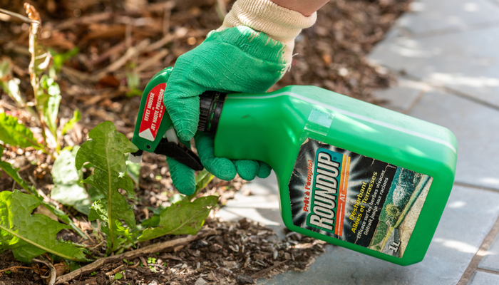 Is Your Weed Killer Giving You Cancer? Roundup Lawsuit Awards $289 Million!