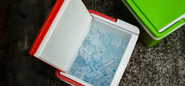 What’s Cooler than being Cool? Best Coolers for Your Pool Party