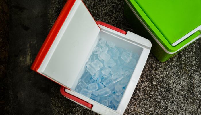 What’s Cooler than being Cool? Best Coolers for Your Pool Party