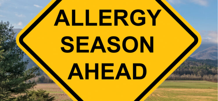 Seasonal Allergies: Best Treatments And Prevention