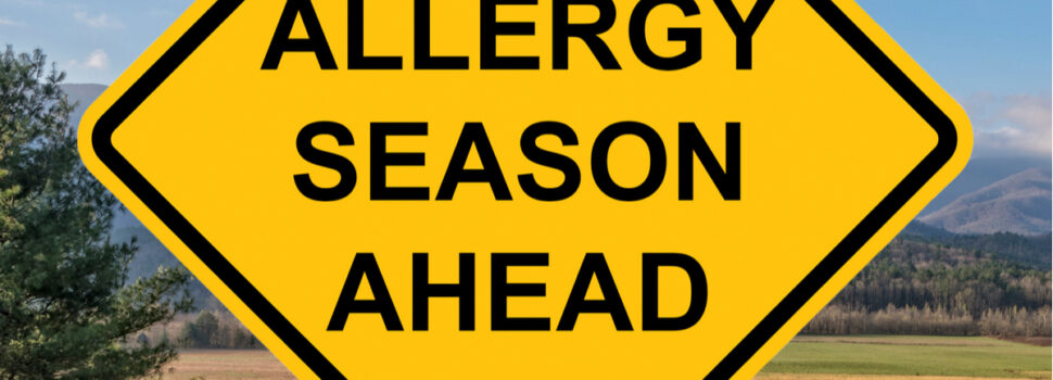 Seasonal Allergies: Best Treatments And Prevention