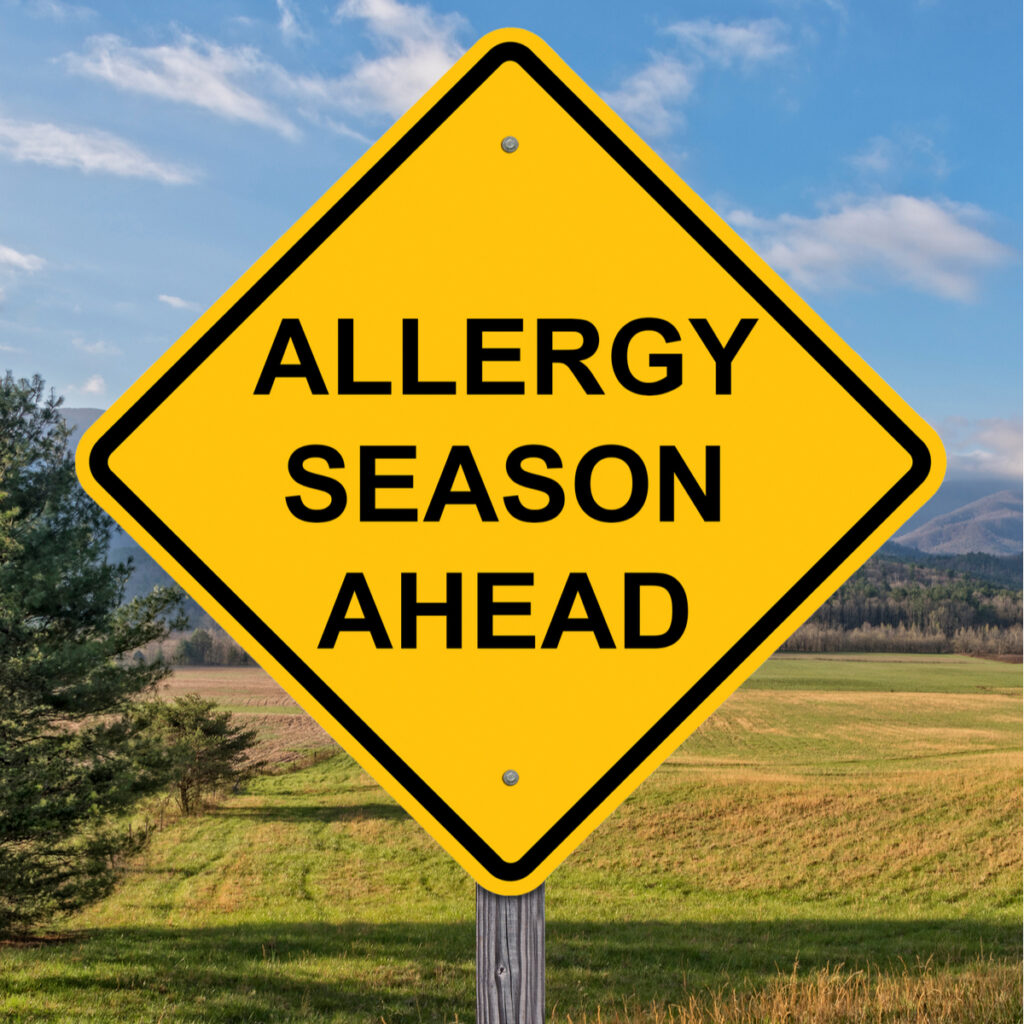 Seasonal Allergies: Best Treatments And Prevention
