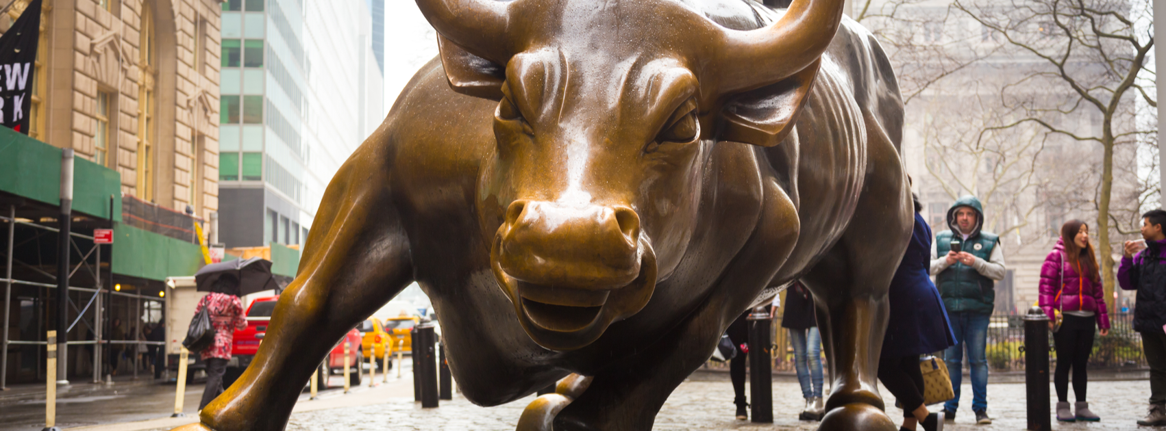 Investing in Stocks: A Beginners Guide