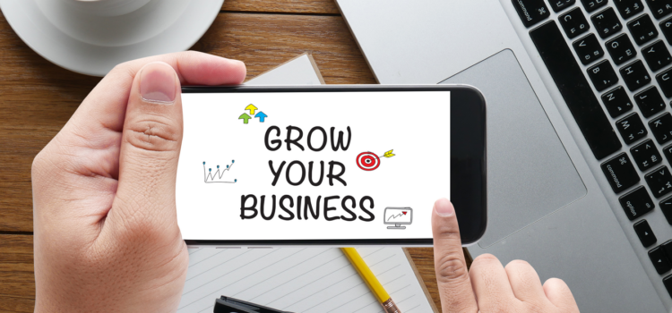 Grow Your Business NOW! A How-to-Guide