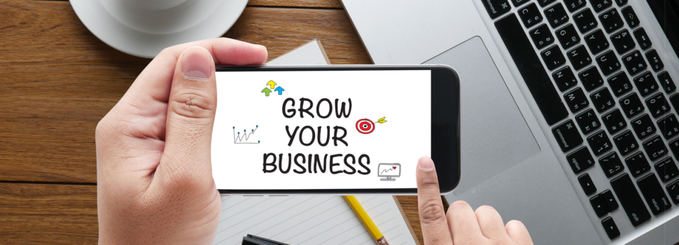 Grow Your Business NOW! A How-to-Guide